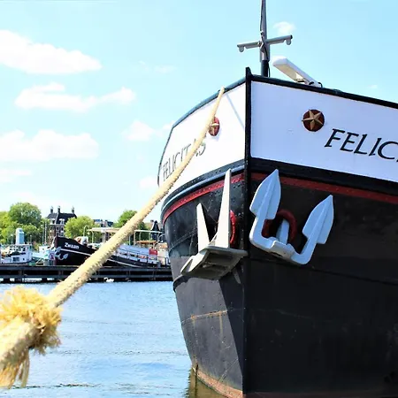 Felicitas * Amsterdam